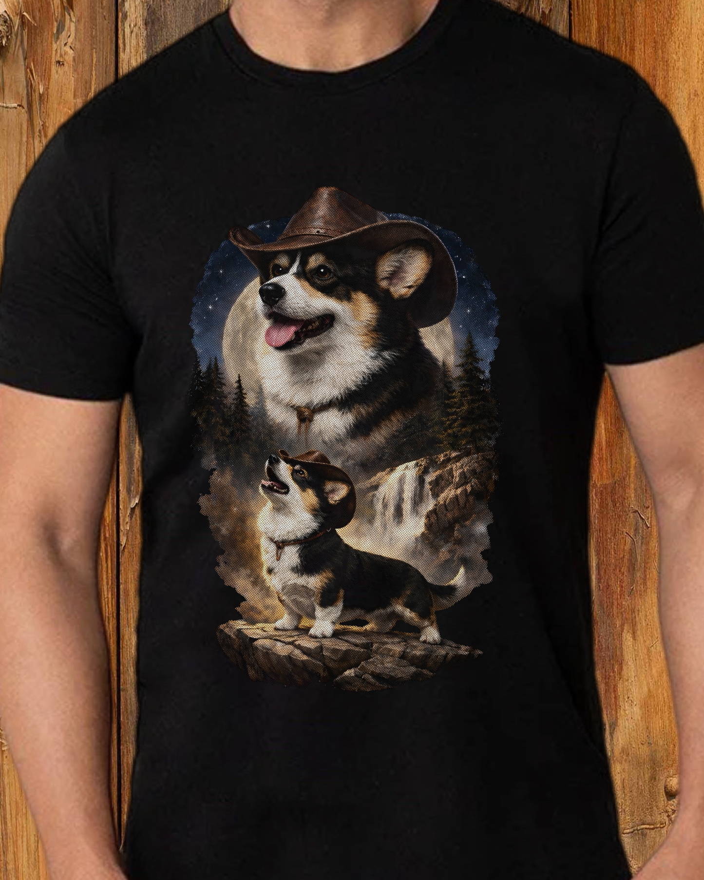 Western Corgi