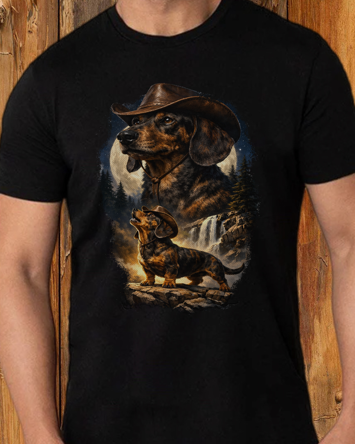 Western Dachshund
